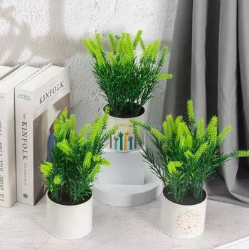 Моделирование Простая жестяная бочка Зеленые растения Растения в горшках Домашняя фотография Офисное украшение рабочего стола Зеленые растения