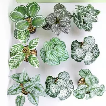 Моделирование растений, зелень, искусственные цветы, домашний сад, стена, зеленые листья, украшения