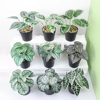 Моделирование растений, зелень, искусственные цветы, домашний сад, стена, зеленые листья, украшения A