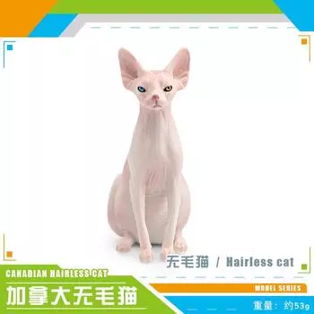 Моделирование животных домашних животных Модель кошки Игрушка Канадская лысая кошка Кошка-сфинкс Статическая кукла Орнамент