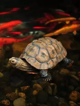 Моделирование животных животных черепаха украшения сад открытый двор пруд бассейн рокарий аквариум декоративная скульптура из смолы