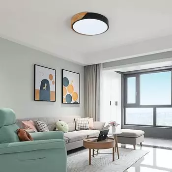 Modern 24W Round Ceiling Light White 6500K Ceiling Light for Bedroom Kitchen Living Room Bedroom Bedroom Hallway Dining Room Balcony