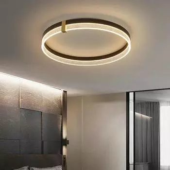 Modern LED Ceiling Lamp For Living Dining Room Bedroom Aisle cloakroom Chandelier Home Decor indoor Lighting Fixture Luster Cold White(no RC)