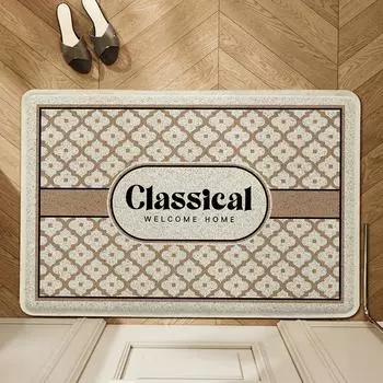 Modern Simple Ins Wire Ring Entry Mat Household Porch Wear Resistant Mat Scraping Mud Dust Carpet Entry 45*75cm