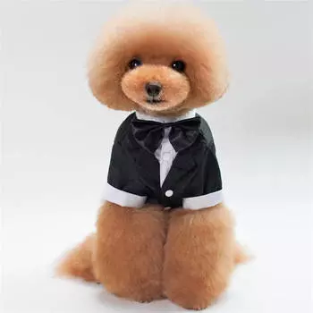 Модная одежда для домашних животных Одежда для собак Одежда для собак с изображением ласточкиного хвоста Костюм для домашних животных Одежда для домашних животных Товары для домашних животных и домашние животные S чёрный