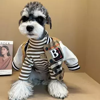 Модная одежда для собак, осенне-зимняя утолщенная теплая снежная куртка Nari Vip Teddy Chai Cat, бейсбольная куртка, одежда для щенков, одежда для кошек S