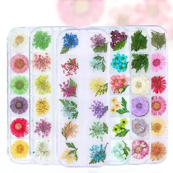 Модные 3D натуральные ногти, украшения из сушеных цветов, наборы настоящих стабилизированных цветов, смешанные косметические гелевые наконечники FL-MTHY