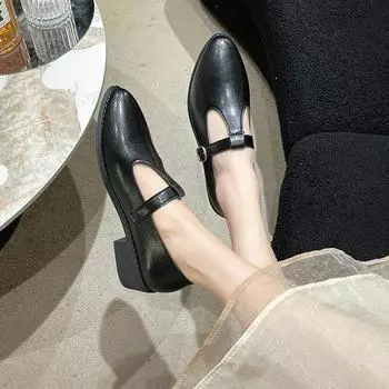 Модные черные туфли-лодочки в стиле ретро, женская весна и осень 2024 года, новые туфли Мэри Джейн на низком толстом каблуке с острым носком, без застежек, мокасины 36