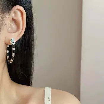 Модные преувеличенные серьги C-dragon женские новые нерегулярные серьги в стиле хип-хоп аксессуары подарки как