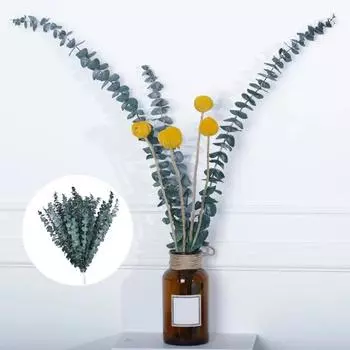 Модный букет эвкалипта вечный DIY декоративный B