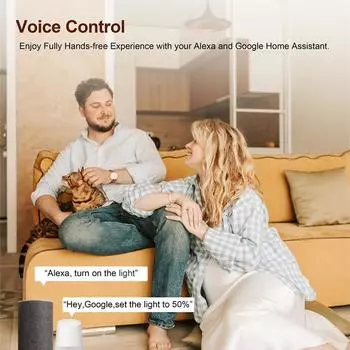 Модуль диммера Zigbee, приложение, пульт дистанционного управления, переключатель штор, работает с Alexa Google Home 2 Gang 1CH Dimmer Module белый