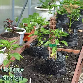 Моховые столбы Растения Монстера Полуцилиндрические сфагновые моховые столбы Полые самополивающиеся опоры для вьющихся растений Новые