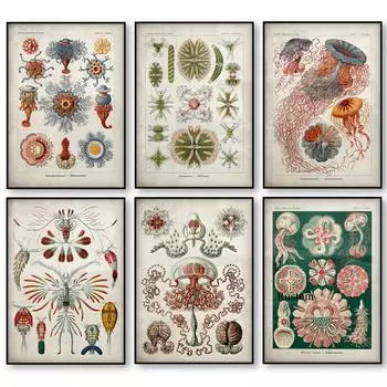 Мой химический романтический постер существа, биологическая картина на холсте на стене, художественная картина для дома, дизайн комнаты, декор интерьера без рамки 21*30cm No Frame