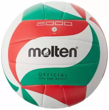 Molten Volleyball V4M2000