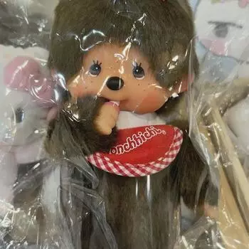 Мончичи