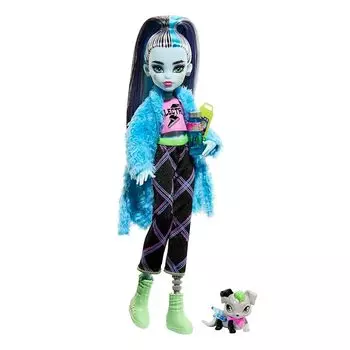 Monster High Creepover Party Фрэнки Штейн, разноцветный