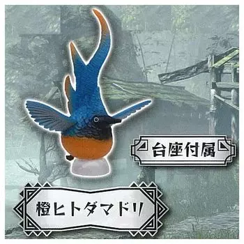 Monster Hunter Rise Environmental Biological Encyclopedia Volume 1 Gacha Gacha Capsule Toy [3.Orange Starfish] (Single Item)