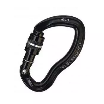 Мощность 25 Винт Черный BK RTAKG1196N roc teryx