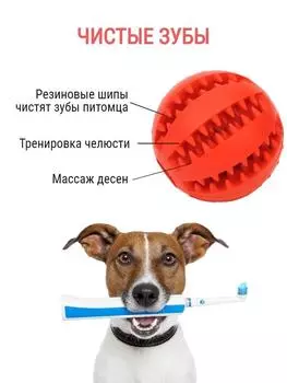 Мяч-укол, арбузные шарики, плюшевый щенок, декомпрессионный эластичный резиновый мяч, чистка зубов питомца, скрежет зубов, утечка, мяч, игрушки для собак One Size красный