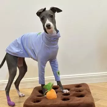 Мягкая голубая хлопковая футболка для Huibit, одежда для собак, эластичное весенне-осеннее пальто для Bedlington Little Greyhound, пижама с высоким воротом Size 1
