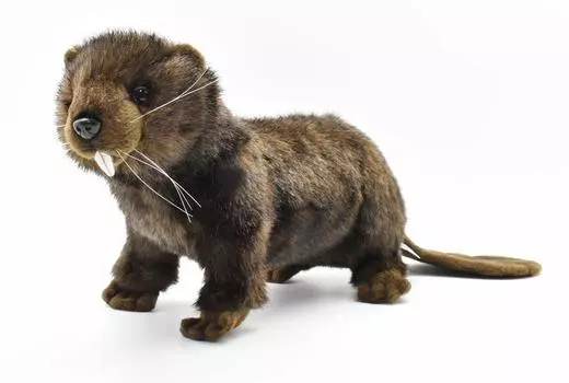 Мягкая игрушка HANSA Animal Beaver No.4274