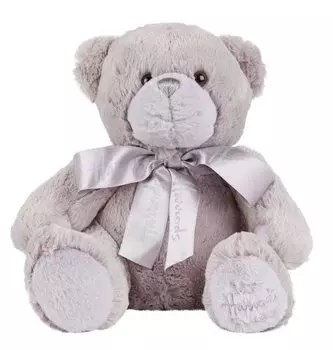 Мягкая игрушка мишка Тедди из Harrods мой плюшевый мишка из Harrods [предмет]