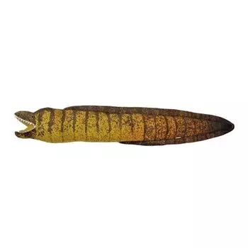 Мягкая игрушка Take Off Moray