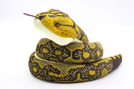 Мягкая игрушка Takeoff Snake Hub [музыка включена]