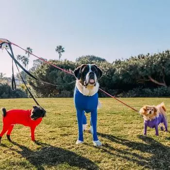 Мягкая одежда для собак, удобная одежда для домашних животных на 4 лапах, комбинезон для больших собак, уличный M чёрный