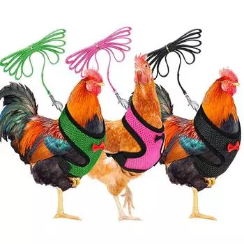 Мягкая шлейка для домашних животных с поводком, жилет для маленьких животных, поводок для курицы, регулируемая веревка с поводком и соответствующим ремнем, жилет для домашних животных для курицы XS синий