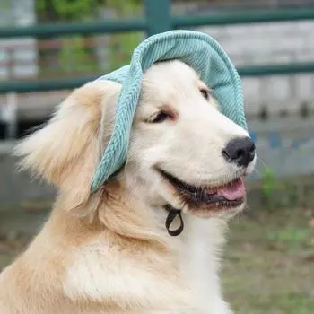 Мягкая шляпа рыбака для собак, регулируемая шляпа-ведро для собак, модная бейсболка для собак, уличная XS зелёный