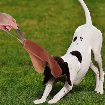 Мягкая устойчивая к укусам однотонная игрушка для перетягивания собачьей шерсти многоразовая ткань для дрессировки щенков