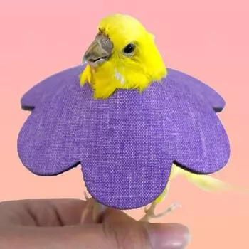 Мягкие ошейники для птиц, дышащие, для защиты от укусов, для попугаев, корелл, елизаветинский ошейник, удобный защитный конусный ошейник S