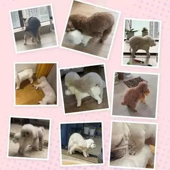 Мягкие силиконовые секс-игрушки для щенков, плюшевые игрушки для мелких пород, сенсорные игрушки, товары для животных, аксессуары для домашних собак, средства для дрессировки и поведения