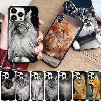 Мягкий чехол для телефона с домашним животным мейн-куном и котом для iphone 14pro 11pro 12 13pro max 5S 6s xs 7 8plus SE xr 12mini Coque, чехлы Iphone 5 5S