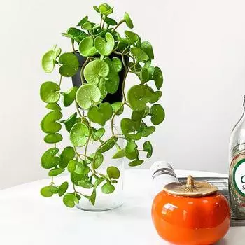 Мягкий клей Искусственное растение Длинная искусственная медная монета из ЭВА Трава Садовое украшение Настенные суккулентные растения Листья Домашний офис