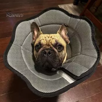 Мягкий конусный ошейник для собак, ошейник для восстановления после операции, регулируемый защитный ошейник для домашних животных, предотвращающий облизывание домашних животных, конусный ошейник для больших и средних собак S серый