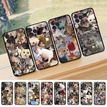 Мягкий силиконовый чехол для телефона Crying Cat Memes для iphone 14 13 12 11 Pro Mini XS MAX 8 7 6 Plus X XS XR iphone 14