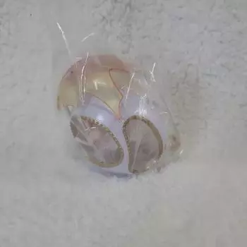 Мю Покемон: Коллекция Rement Oval