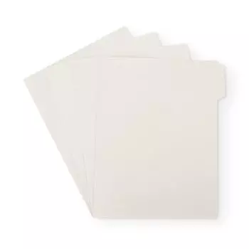 MUJI Foamed Polypropylene Individual Folder for A4 Set of 4 White Gray 02856434 / /