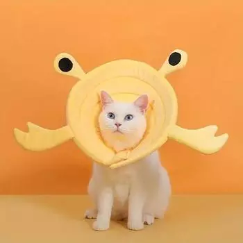 Мультяшная кукла белая Элиза кольцо кастрированный антилиза ошейник универсальный Ct ошейник для кошек и собак товары для животных S оранжевый