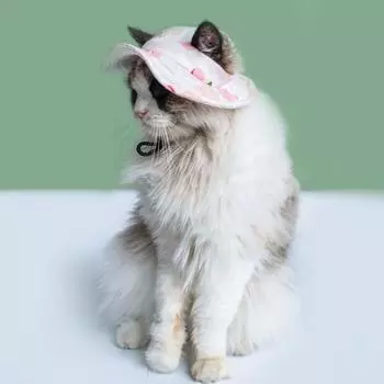 Мультяшная шляпа рыбака с собакой, дышащая шляпа с солнцезащитным кремом для кошек, шляпа для животных, уличная шляпа для домашних животных, шляпа от солнца для кошек и собак L жёлтый