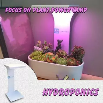 Мулти мясистая светодиодная лампа для растений USB для цветов и ламп для рассады овощей разноцветный