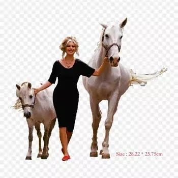 Мустанг изображение термопереносная печать виниловые нашивки наклейки для одежды DIY аппликации моющиеся нашивки