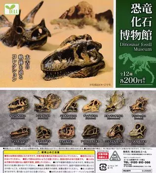 Музей окаменелостей динозавров Набор всех 12 типов Gacha Gacha