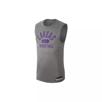 Мужская баскетбольная футболка без рукавов Nike Los Angeles Lakers NBA Dri-Fit, серая DM3228-063 XS