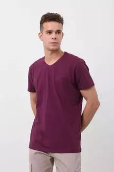 Мужская базовая футболка с v-образным вырезом сливовая