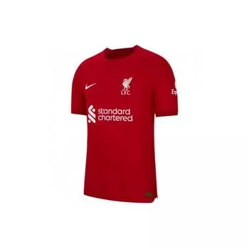 Мужская футбольная рубашка с коротким рукавом Nike Liverpool 2022/23 Season Home Player Edition темно-красная DJ7647-609 XL