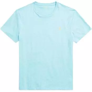 Мужская футболка поло Ralph Lauren с вышивкой логотипа, однотонная, трикотажная, с коротким рукавом, синяя MNPOTSH1N821211-410 S