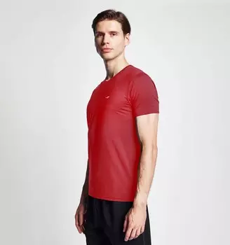 Мужская футболка с коротким рукавом 24S-1221-24B